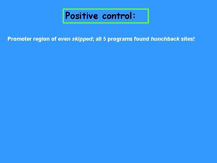 Positive control: Promoter region of even skipped; all 5 programs found hunchback sites! 