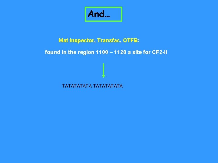 And… Mat Inspector, Transfac, OTFB: found in the region 1100 – 1120 a site