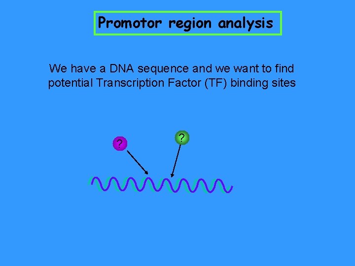 Promotor region analysis We have a DNA sequence and we want to find potential