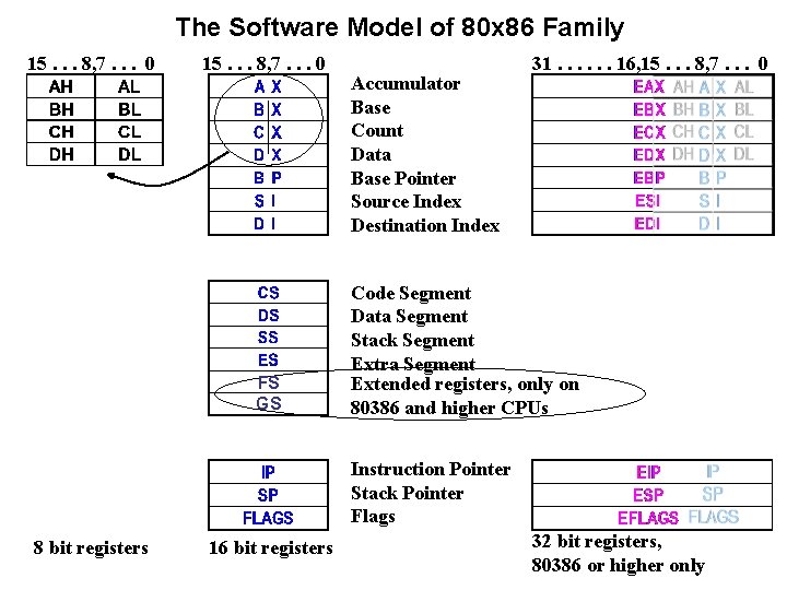 The Software Model of 80 x 86 Family 15. . . 8, 7. .