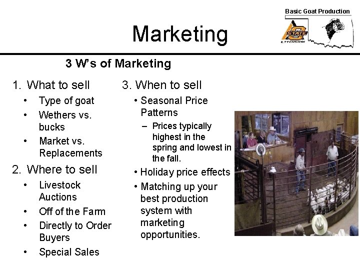 Basic Goat Production Marketing 3 W’s of Marketing 1. What to sell • •