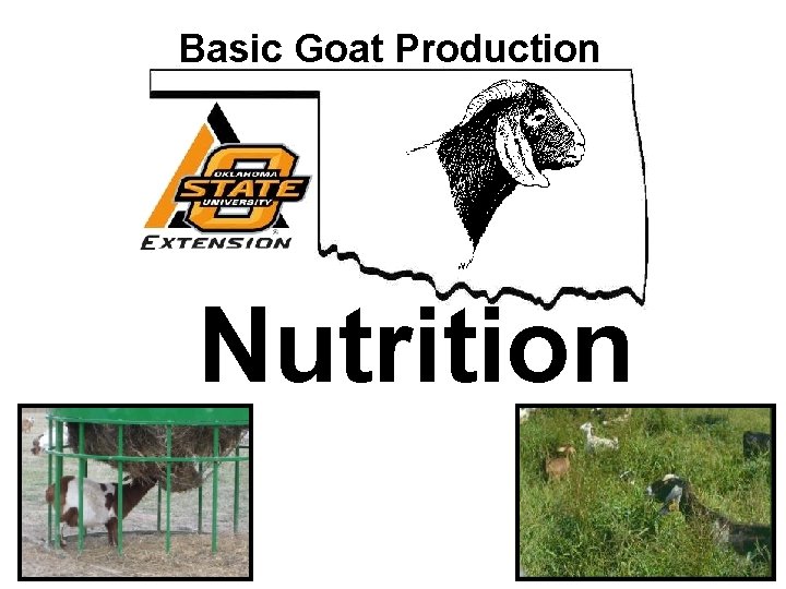 Basic Goat Production Nutrition 