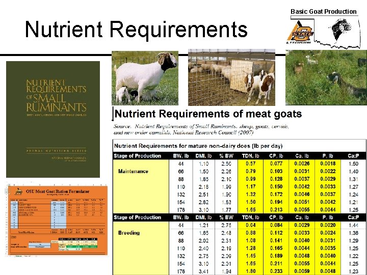 Basic Goat Production Nutrient Requirements 