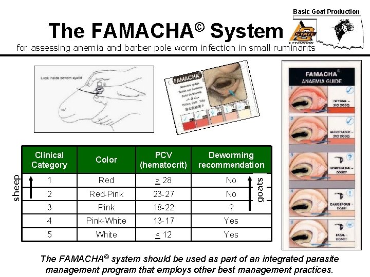 Basic Goat Production The FAMACHA© System Clinical Category Color PCV (hematocrit) Deworming recommendation 1