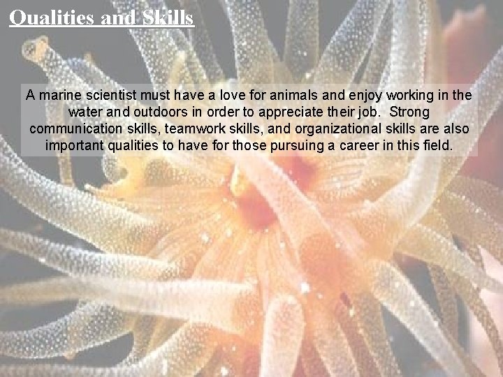 Qualities and Skills A marine scientist must have a love for animals and enjoy