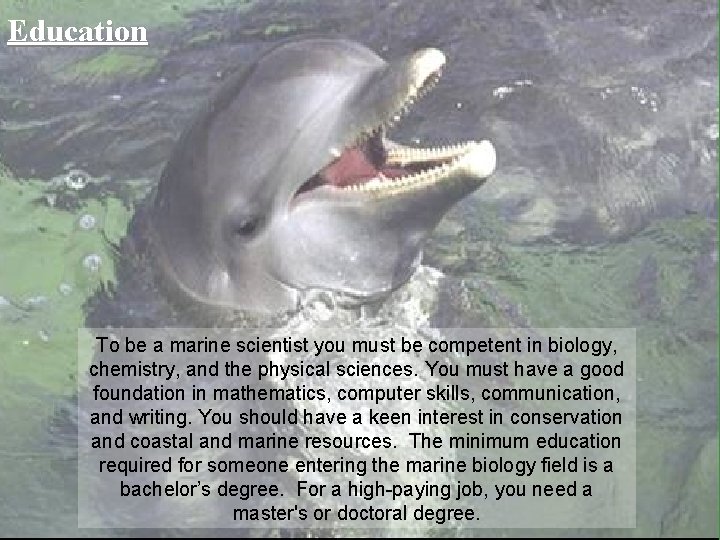 Education To be a marine scientist you must be competent in biology, chemistry, and