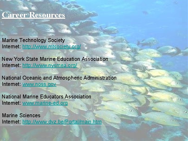 Career Resources Marine Technology Society Internet: http: //www. mtsociety. org/ New York State Marine