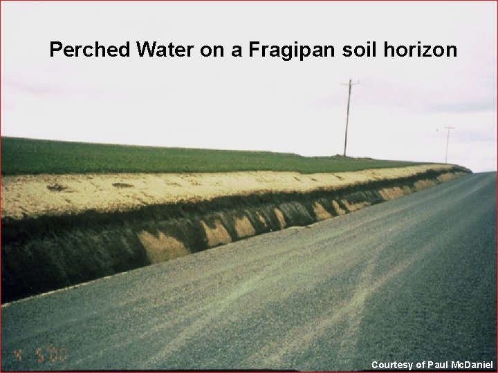 Perched Water on a Fragipan soil horizon Courtesy of Paul Mc. Daniel 