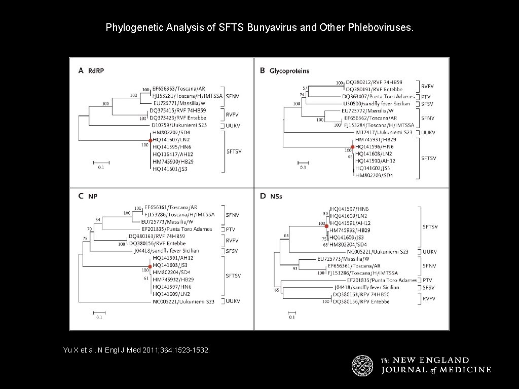 Phylogenetic Analysis of SFTS Bunyavirus and Other Phleboviruses. Yu X et al. N Engl