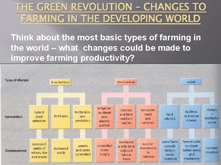THE GREEN REVOLUTION – CHANGES TO FARMING IN THE DEVELOPING WORLD Think about the