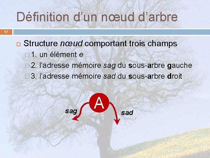 Définition d’un nœud d’arbre 17 Structure nœud comportant trois champs � 1. un élément