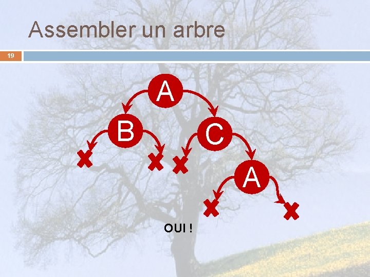 Assembler un arbre 19 A B C A OUI ! 