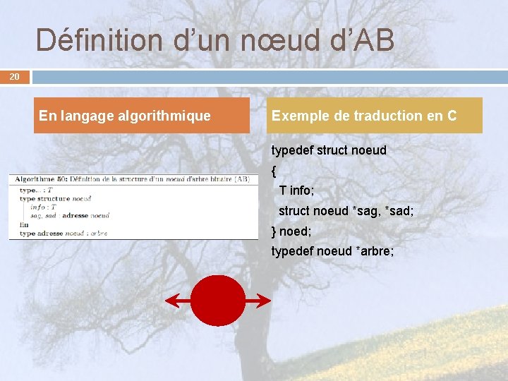 Définition d’un nœud d’AB 20 En langage algorithmique Exemple de traduction en C typedef