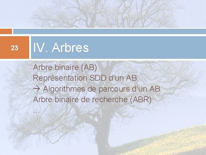 23 IV. Arbres Arbre binaire (AB) Représentation SDD d’un AB Algorithmes de parcours d’un