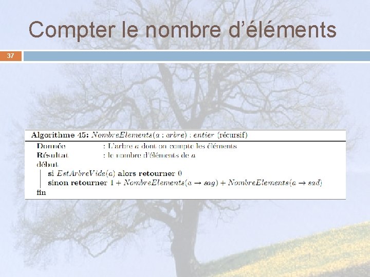 Compter le nombre d’éléments 37 