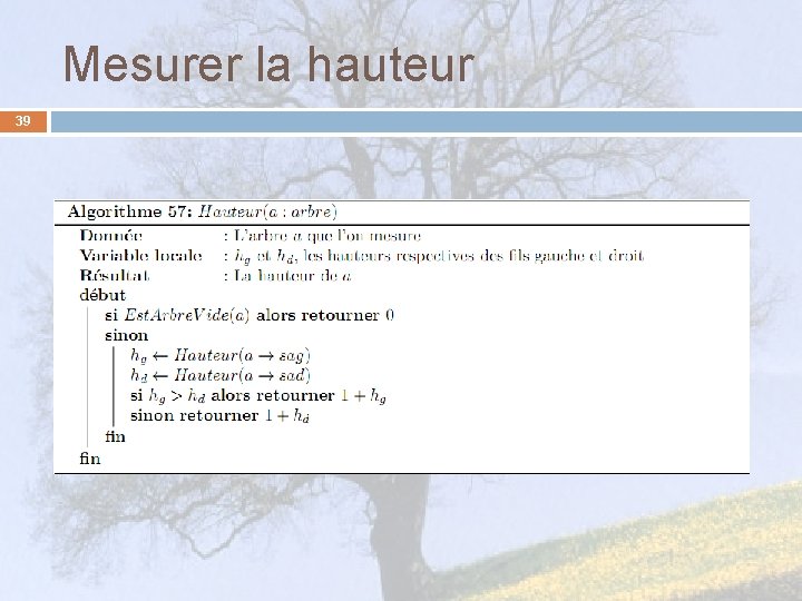 Mesurer la hauteur 39 