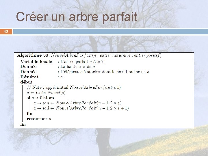 Créer un arbre parfait 43 