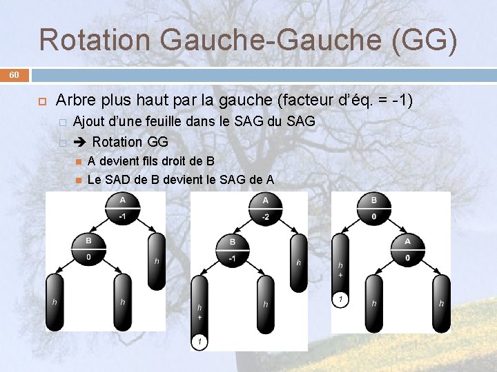 Rotation Gauche-Gauche (GG) 60 Arbre plus haut par la gauche (facteur d’éq. = -1)