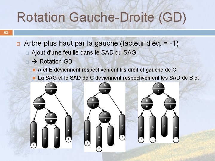 Rotation Gauche-Droite (GD) 62 Arbre plus haut par la gauche (facteur d’éq. = -1)