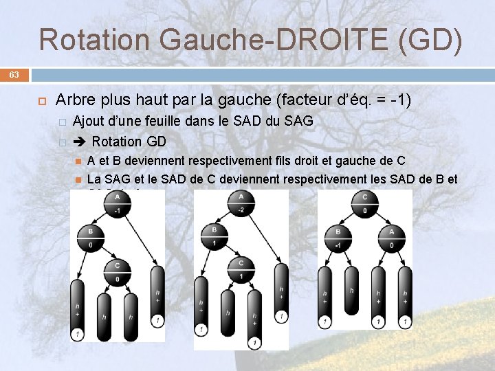 Rotation Gauche-DROITE (GD) 63 Arbre plus haut par la gauche (facteur d’éq. = -1)