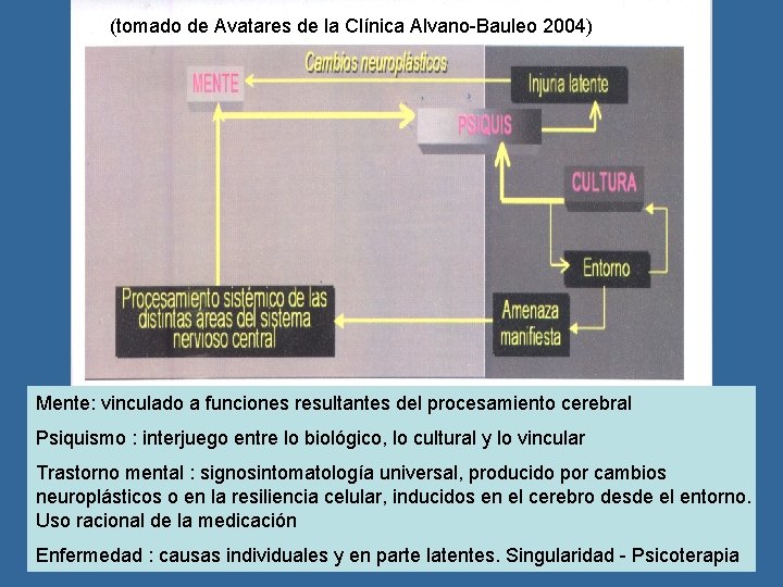 (tomado de Avatares de la Clínica Alvano-Bauleo 2004) Mente: vinculado a funciones resultantes del