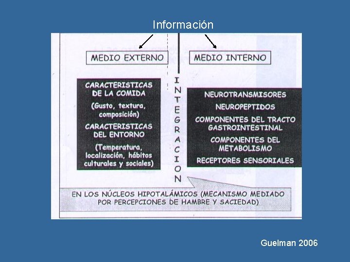 Información Guelman 2006 