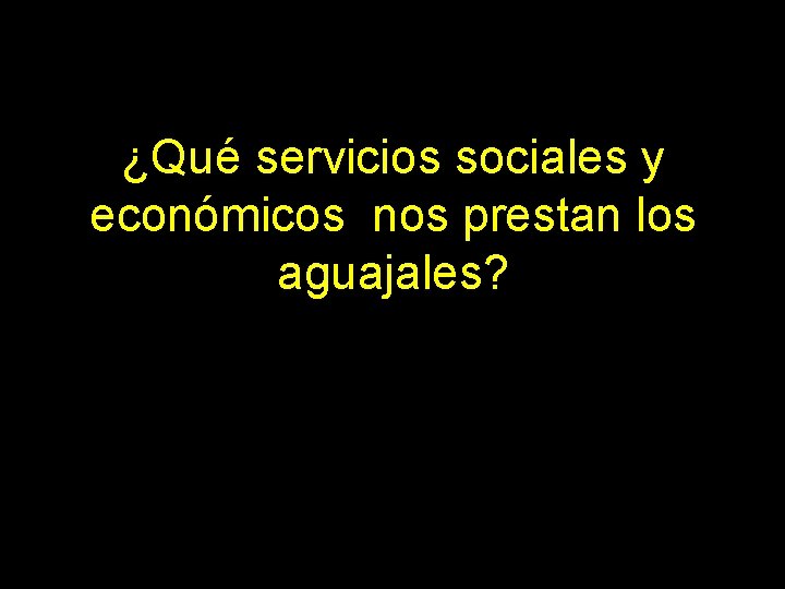 ¿Qué servicios sociales y económicos nos prestan los aguajales? 