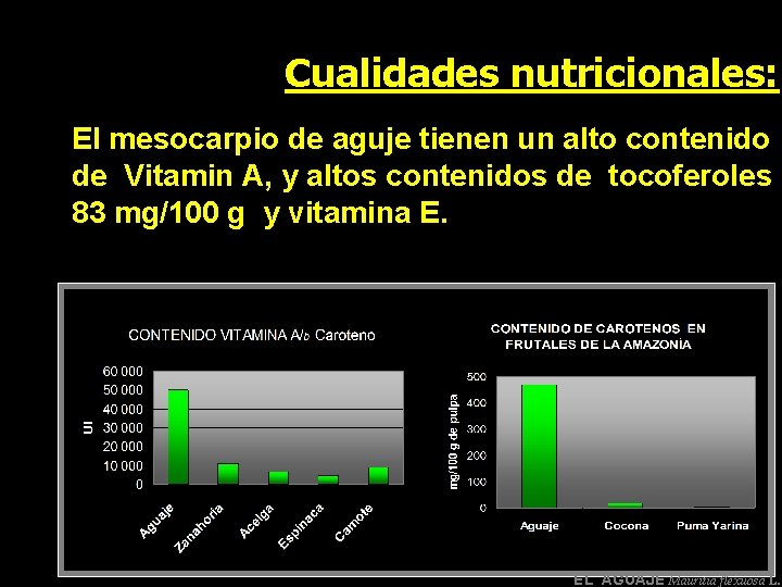 Cualidades nutricionales: El mesocarpio de aguje tienen un alto contenido de Vitamin A, y