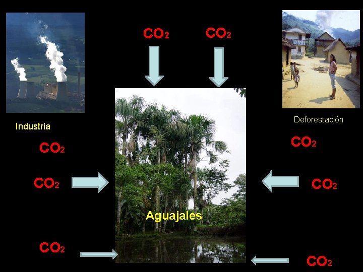 CO 2 Deforestación Industria CO 2 Aguajales CO 2 