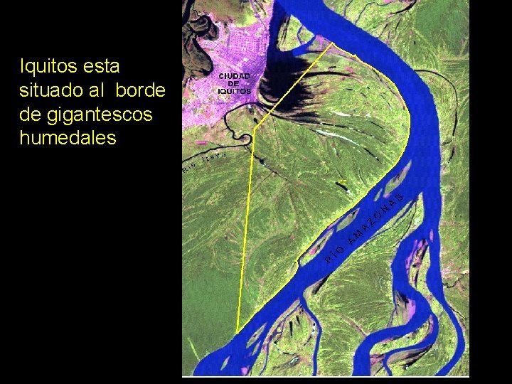 Iquitos esta situado al borde de gigantescos humedales 