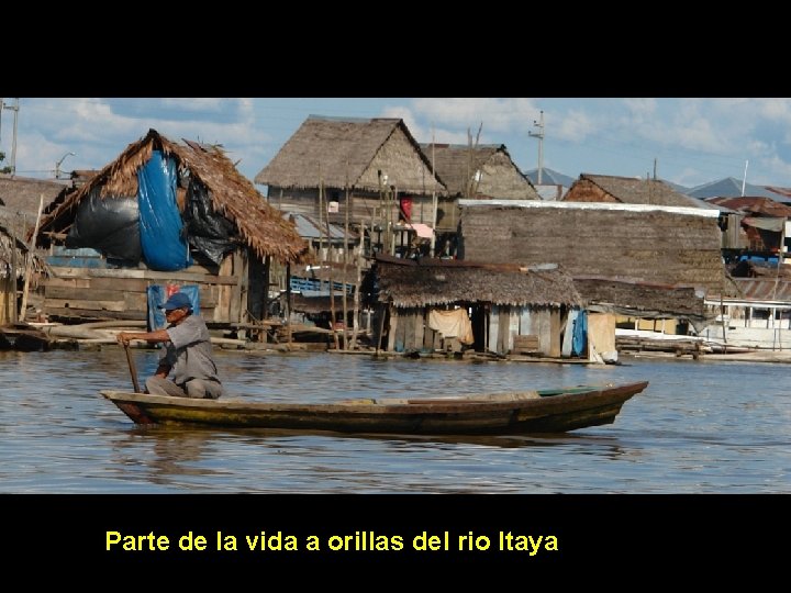 Parte de la vida a orillas del rio Itaya 