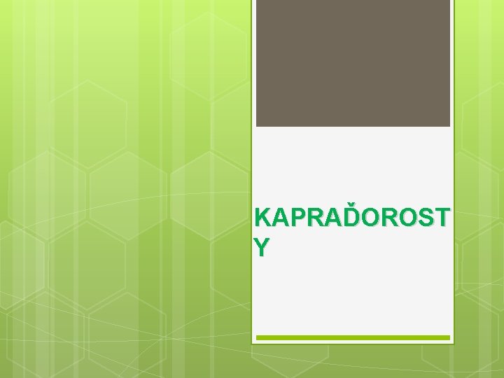 KAPRAĎOROST Y 