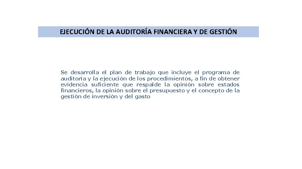 EJECUCIÓN DE LA AUDITORÍA FINANCIERA Y DE GESTIÓN Se desarrolla el plan de trabajo