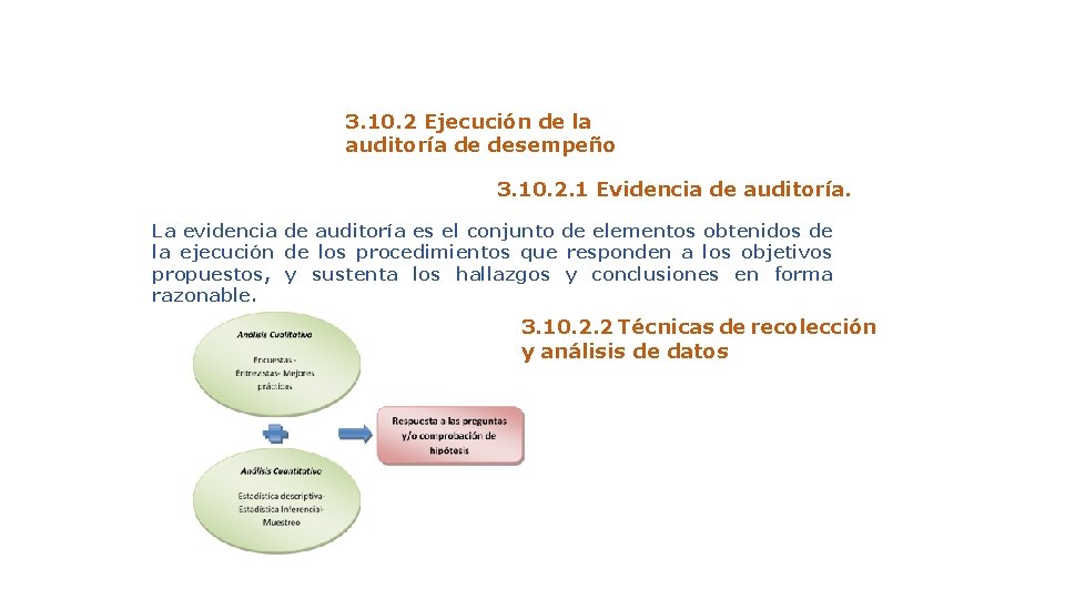 3. 10. 2 Ejecución de la auditoría de desempeño 3. 10. 2. 1 Evidencia