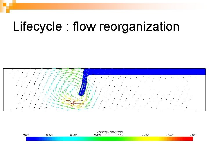 Lifecycle : flow reorganization 