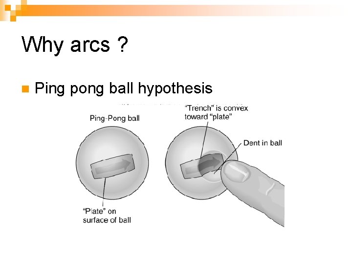 Why arcs ? n Ping pong ball hypothesis 