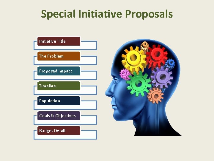 Special Initiative Proposals Initiative Title The Problem Proposed Impact Timeline Population Goals & Objectives