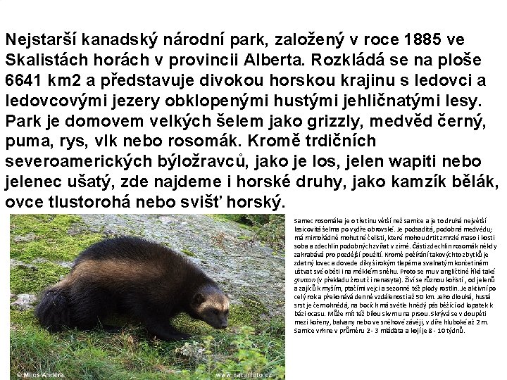 Nejstarší kanadský národní park, založený v roce 1885 ve Skalistách horách v provincii Alberta.