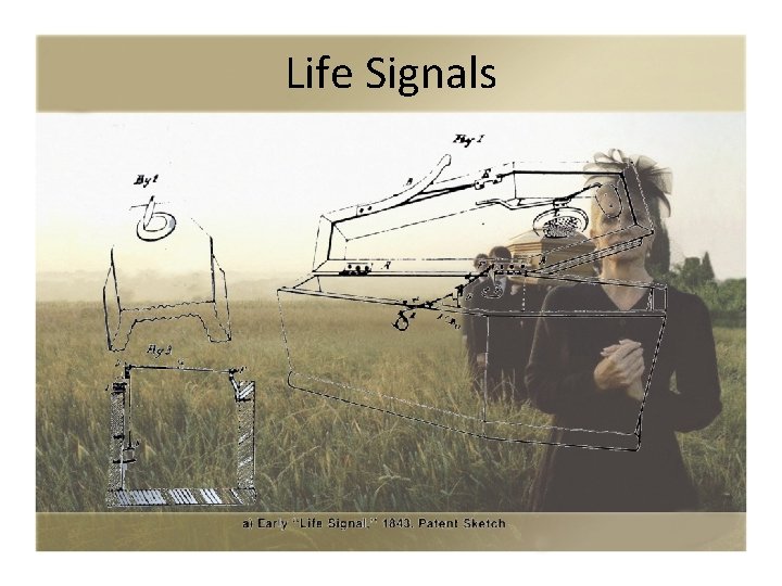 Life Signals 