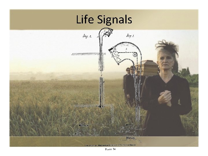 Life Signals 