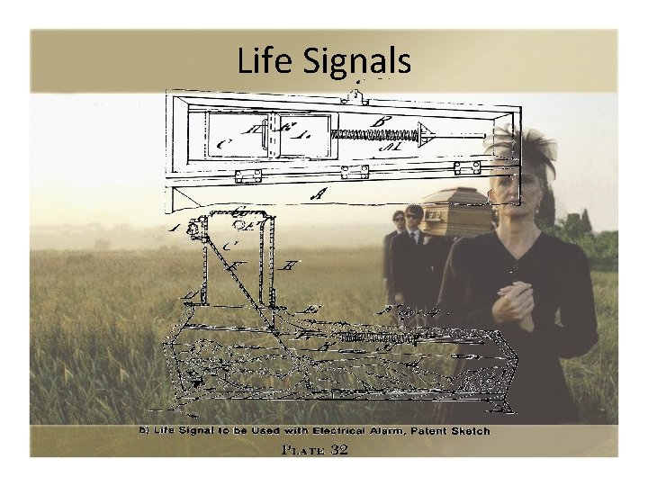 Life Signals 