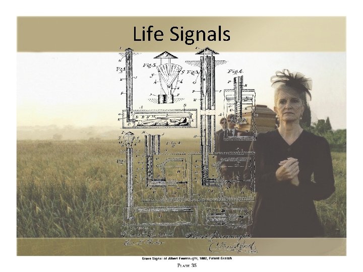 Life Signals 