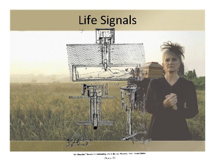 Life Signals 