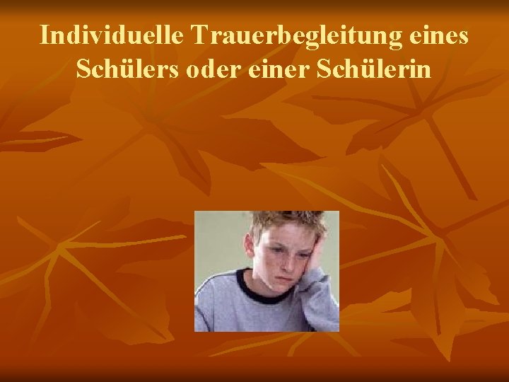Individuelle Trauerbegleitung eines Schülers oder einer Schülerin 