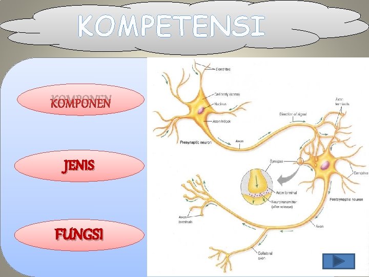 KOMPETENSI KOMPONEN JENIS FUNGSI 