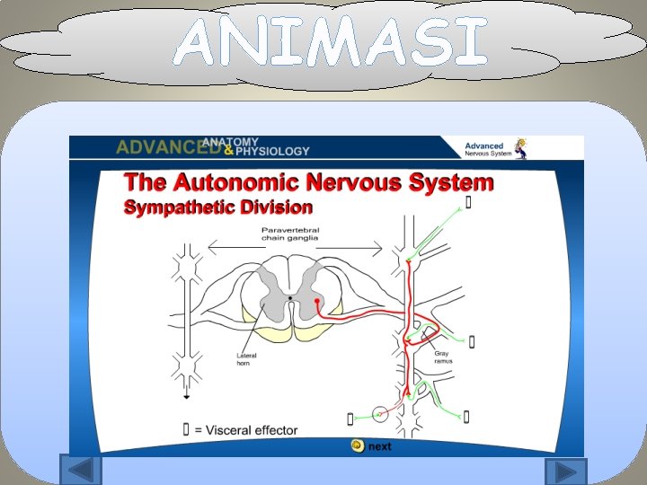 ANIMASI 