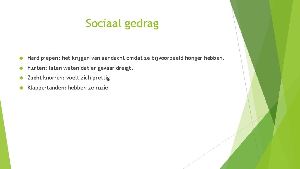 Sociaal gedrag Hard piepen: het krijgen van aandacht omdat ze bijvoorbeeld honger hebben. Fluiten: