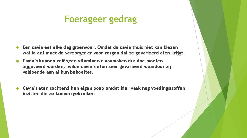 Foerageer gedrag Een cavia eet elke dag groenvoer. Omdat de cavia thuis niet kan