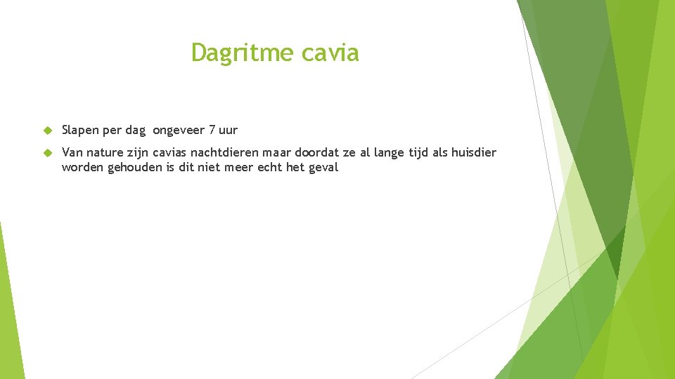 Dagritme cavia Slapen per dag ongeveer 7 uur Van nature zijn cavias nachtdieren maar
