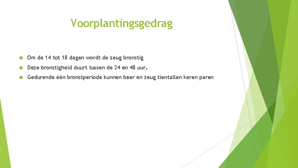 Voorplantingsgedrag Om de 14 tot 18 dagen wordt de zeug bronstig Deze bronstigheid duurt